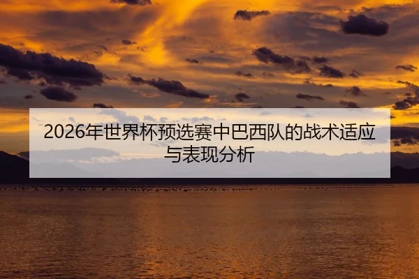 2026年世界杯预选赛中巴西队的战术适应与表现分析