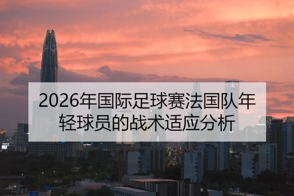 2026年国际足球赛法国队年轻球员的战术适应分析